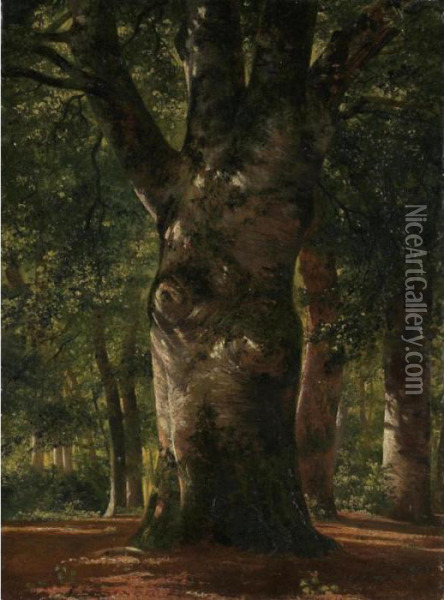 Stem Of A Beech Tree Oil Painting - Alexandre Calame