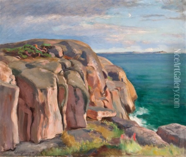 Cliffs On The Shore Of Kaivopuisto Oil Painting - Eero Jaernefelt