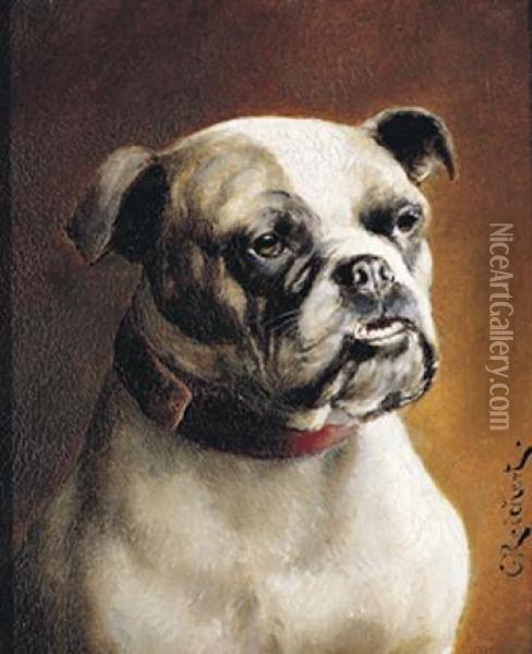 Bulldog Oil Painting - Carl Reichert
