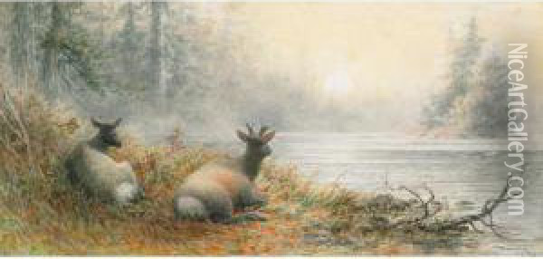 Caribou Resting Oil Painting - Frederick Arthur Verner
