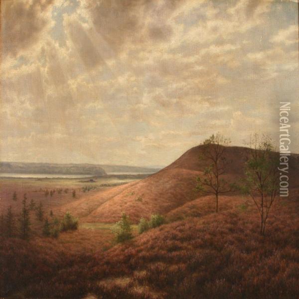 Moor Landscape Oil Painting - Adolf Larsen