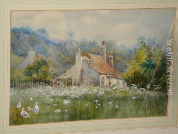 Ducks And Geese Before Cottages And Hills Oil Painting - James P. Barraclough