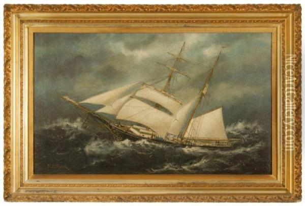 Portrait Of The Brig Oil Painting - William Pierce Stubbs