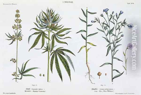 Cannabis and Flax, from The Young Landsman, published Vienna, 1845 Oil Painting - Matthias Trentsensky