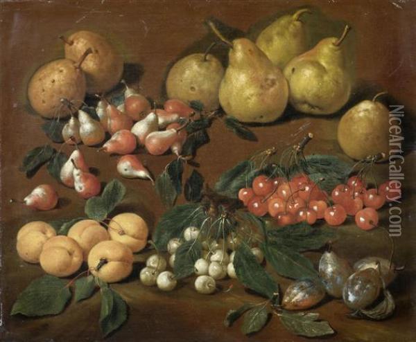 Fruits: Pears, Apricots, Cherries
And Plums Oil Painting - Bartolommeo Bimbi