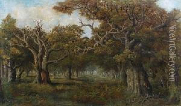 A Woodland Clearing Oil Painting - Charles Leaver
