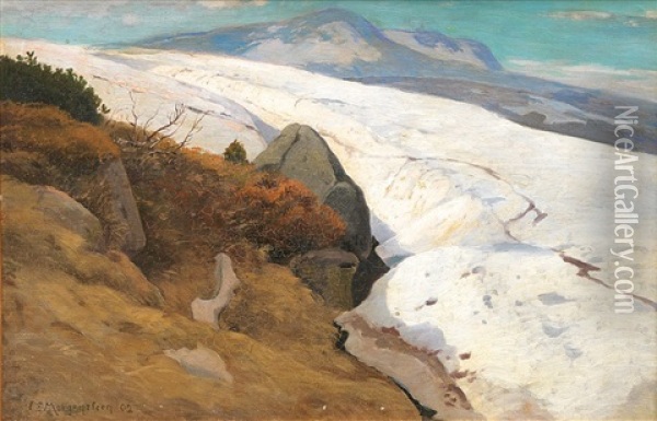 Schneefeld In Den Bergen Oil Painting - Carl Ernst Morgenstern