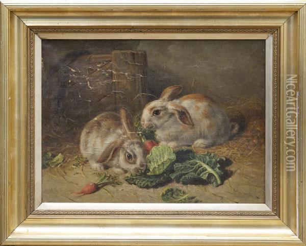 Study Of Rabbits Oil Painting - Alfred R. Barber