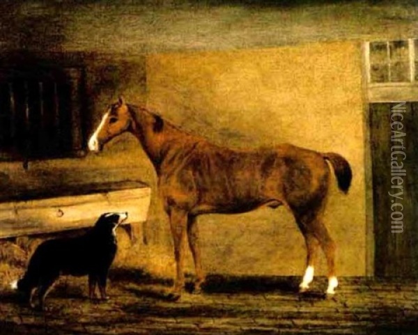 Portrait Of A Chesnut Horse And A Collie In A Loosebox Oil Painting - John Vine