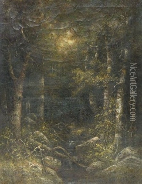 Woodland Interior Oil Painting - George W. King
