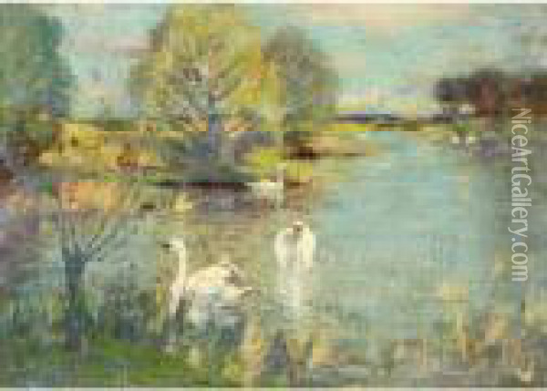 The Swan Lake Oil Painting - David Murray