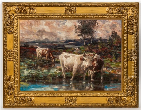 Cattle Drinking Oil Painting - Andrew Douglas