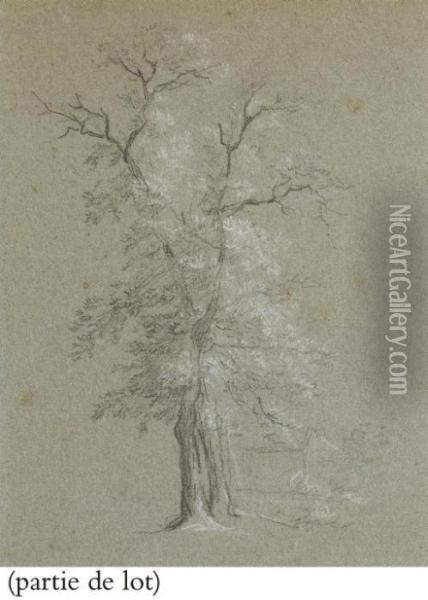 Suite De Huit Dessins: Deux Paysages Et Six Etudes D'arbres Oil Painting - Jean-Baptiste Huet I