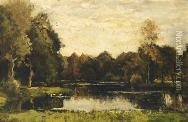 A Pond In A Wooded Landscape Oil Painting - Theophile De Bock