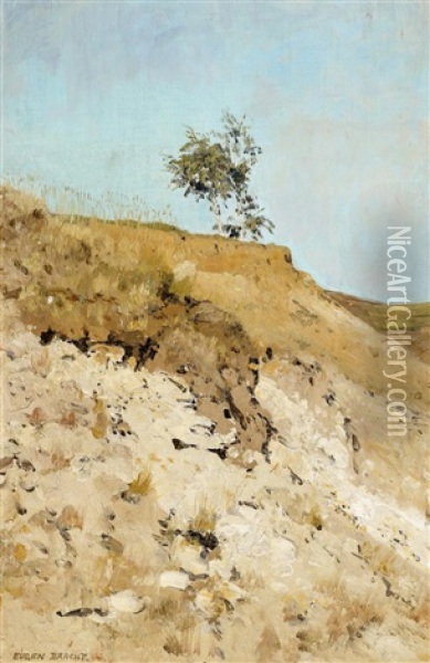 Landschaftsstudie Oil Painting - Eugen Felix Prosper Bracht