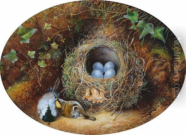 Still Life Of A Birds Nest Oil Painting - Emma Lambert Cooper