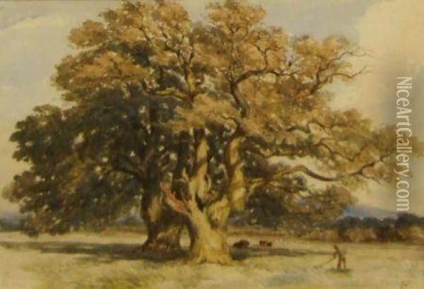 Landscape With Figure And Cattle By An Oak Tree Oil Painting - William Callow
