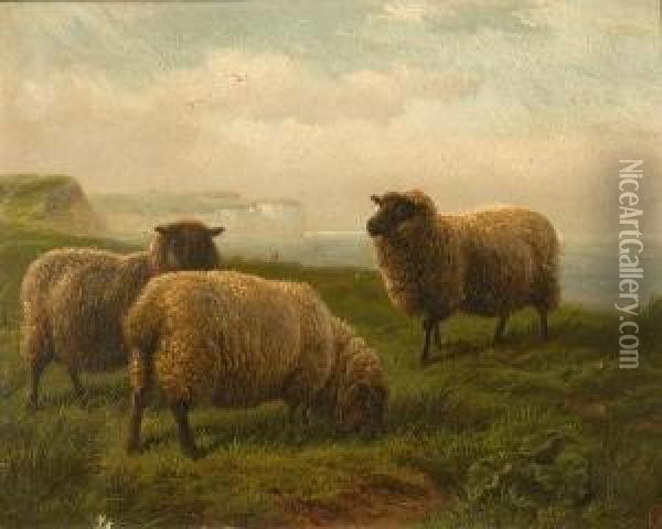 Grazing Sheep Beside The Coast Oil Painting - Charles Jones