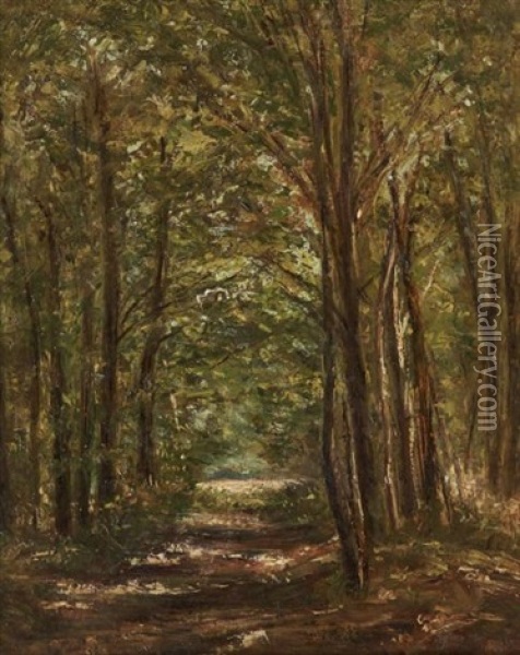 Sous-bois Oil Painting - Andre Giroux
