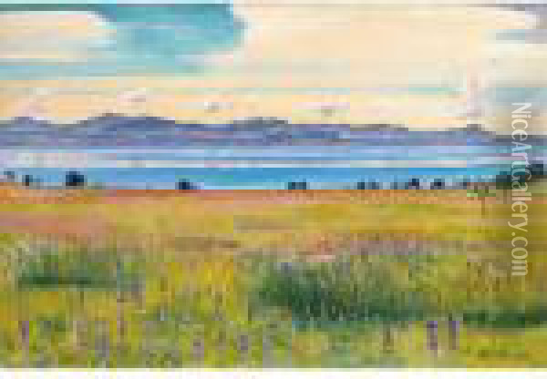 Der Genfersee Von Saint-prex Aus
View Of The Lake Of Geneva From Saint-prex Oil Painting - Ferdinand Hodler