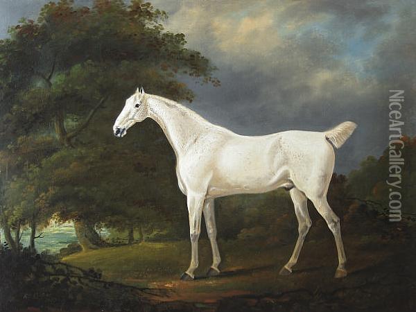 Grey Horse In A Landscape Oil Painting - Edwin, Beccles Of Cooper