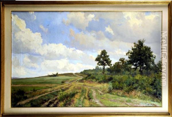 Chemin De Campagne Oil Painting - Xavier Wurth