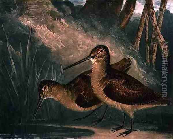 Woodcocks, plate 4 of British Feather Game, engraved by the artist, pub. by R. Ackermann, c.1810 Oil Painting - Charles Turner