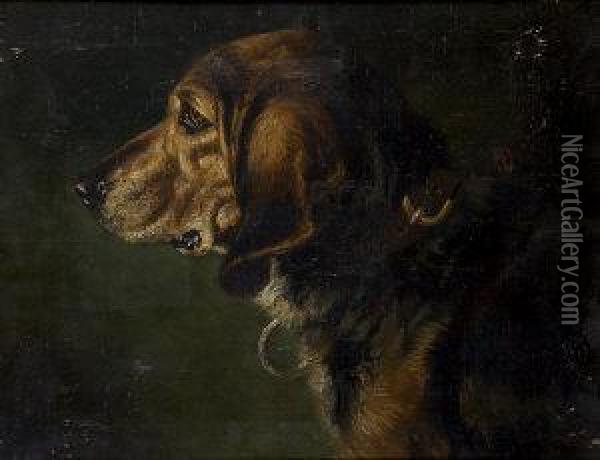 Portrait Of A Bloodhound Oil Painting - Charles Grey