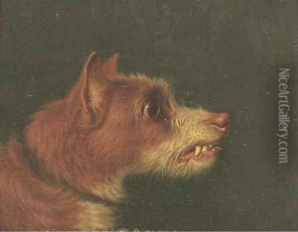 Snarling terriers Oil Painting - Martin Theodore Ward