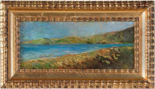 Veduta Della Riviera Di Ponente Oil Painting - Benedetto Musso