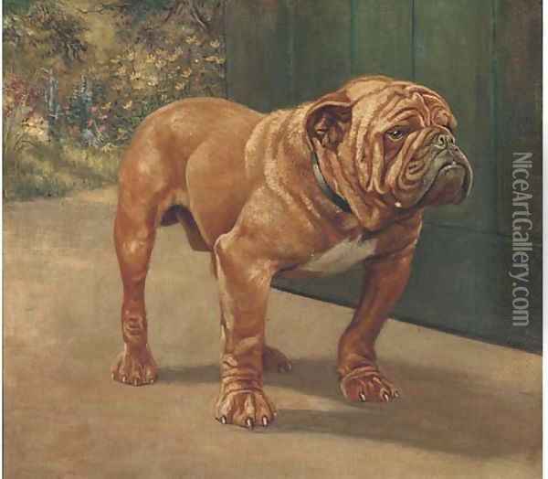 A bulldog 2 Oil Painting - English School