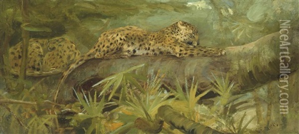 Leopards At Rest Oil Painting - Cuthbert Edmund Swan