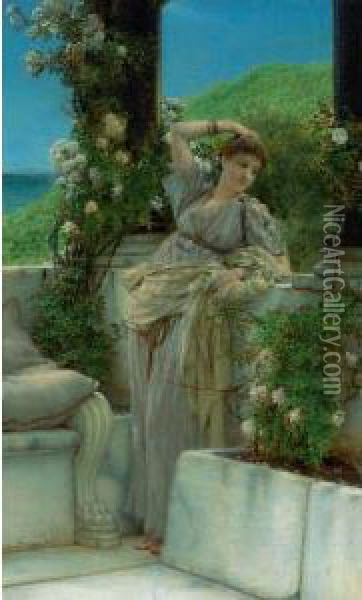 Thou Rose Of All Roses Oil Painting - Sir Lawrence Alma-Tadema