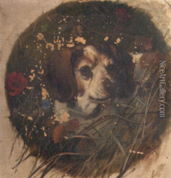 Head Study Of A Dog Oil Painting - George Earl