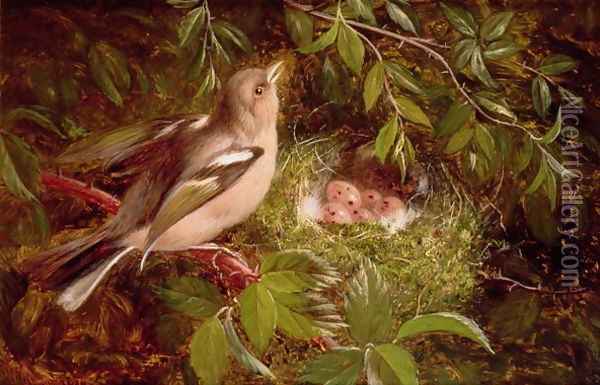 A Chaffinch at its Nest Oil Painting - William Hughes