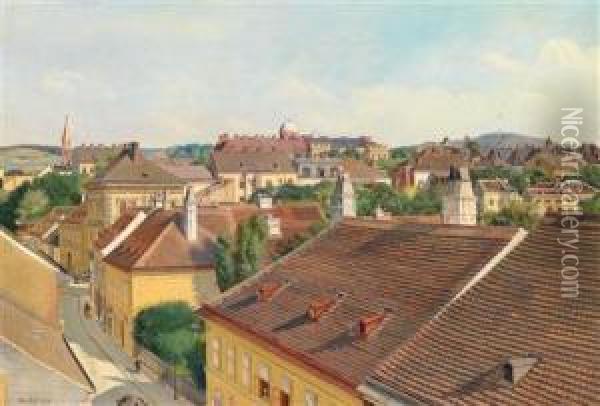 Blick Von Der Wahringerstrasse Zur Sternwarte Und Der St. Joseph - Weinhaus Kirche Oil Painting - Alois Stoff