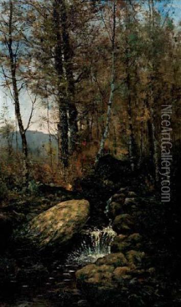 A Woodland Stream Oil Painting - Aaron Allan Edson