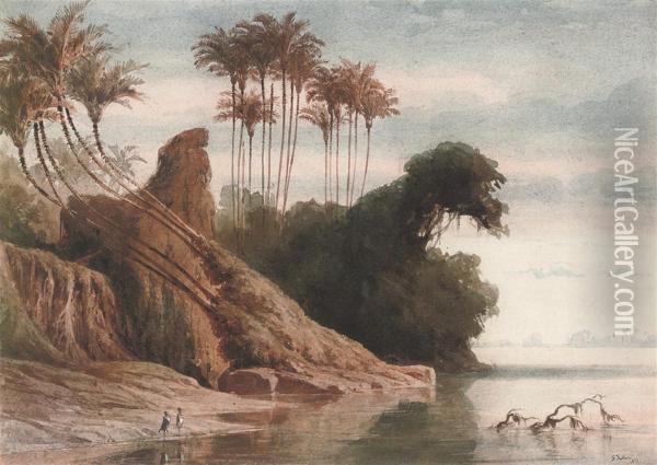 Brazilian River Landscape Oil Painting - Ferdinand Keller