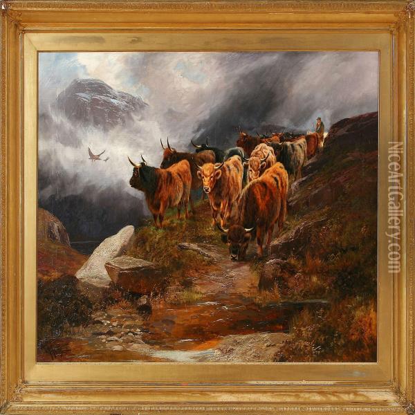 Cattle In Thescottish Highland Oil Painting - William Perring Hollyer