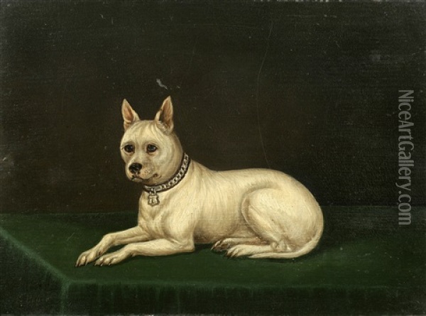 Cribb, A White Terrier Oil Painting - Edwin (of Bath) Loder