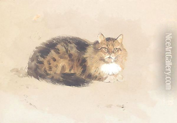 Study of cat Oil Painting - Archibald Thorburn