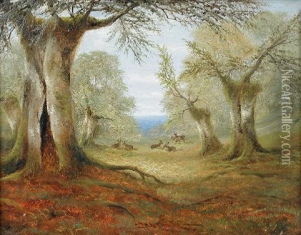 Red Deer In A Forest Clearing Oil Painting - Cecil Gordon Lawson