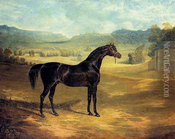 The Bay Stallion Jack Spigot Oil Painting - John Frederick Herring Snr