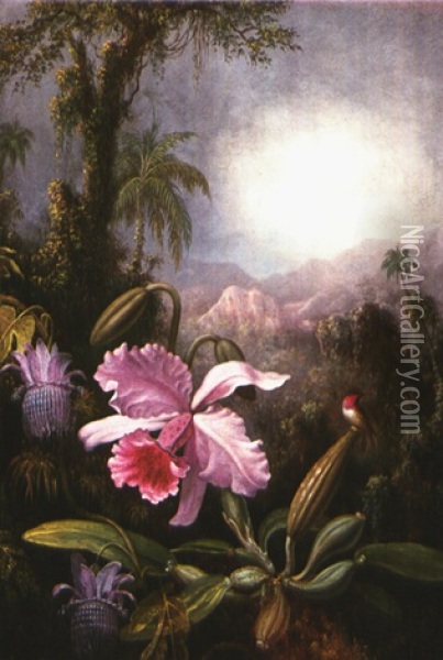 Orchids, Passion Flowers And Hummingbird Oil Painting - Martin Johnson Heade