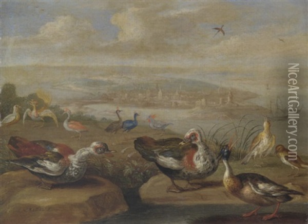 Ducks And Other Birds On The Seashore Oil Painting - Jan van Kessel the Elder