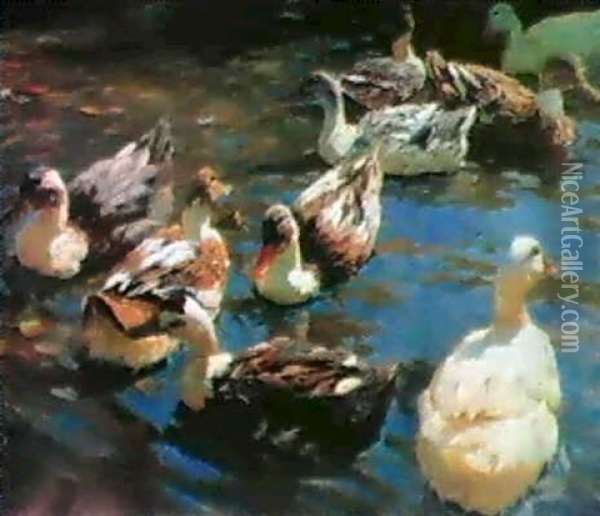 Neun Enten Auf Einem Teich Oil Painting - Alexander Max Koester