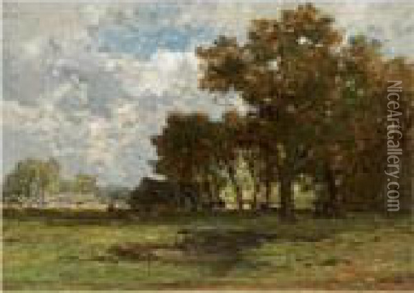 Farms In A Landscape, Drenthe Oil Painting - Willem Roelofs