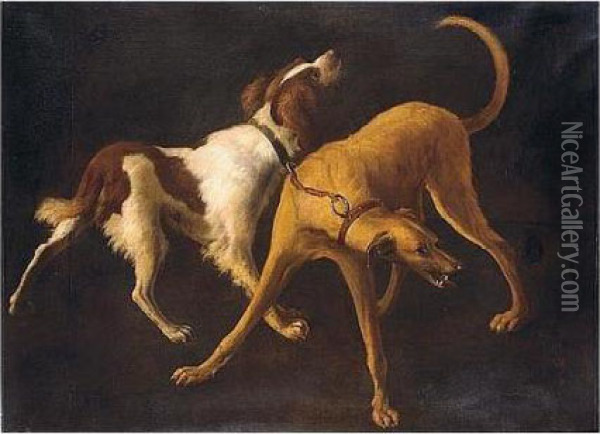 A Spaniel And A Lurcher Oil Painting - Jan Weenix