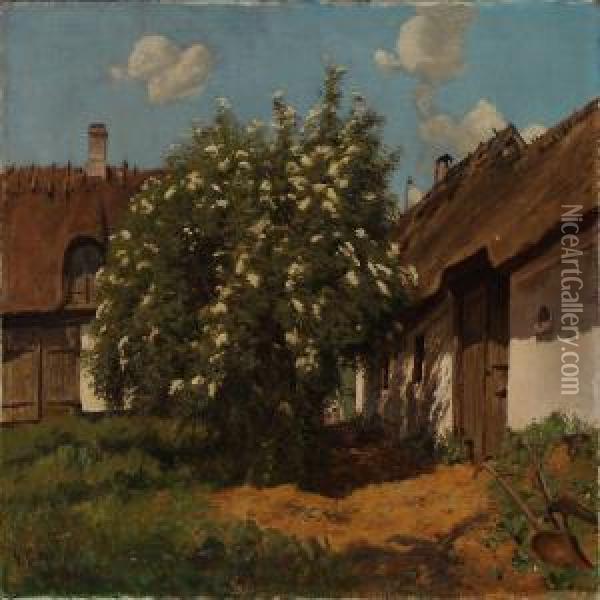 Farm Yard With Blooming Elderberry Oil Painting - Godfred B.W. Christensen