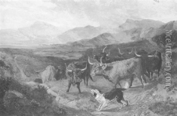 Cattle In A Glen Oil Painting - Joseph Denovan Adam